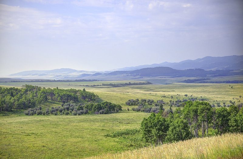 Green rolling foothills and trees at Chain Lakes Provincial Park in summer