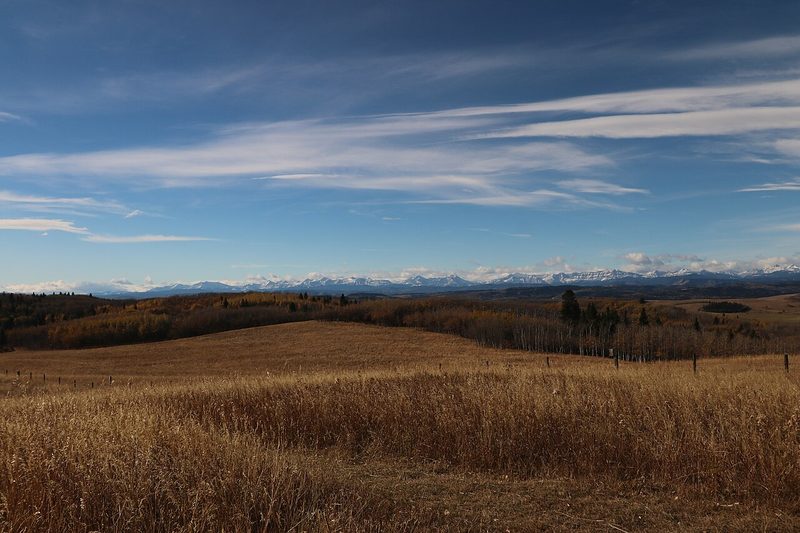 Golden grassland and rolling hills at Ann & Sandy Cross Conservation Area
