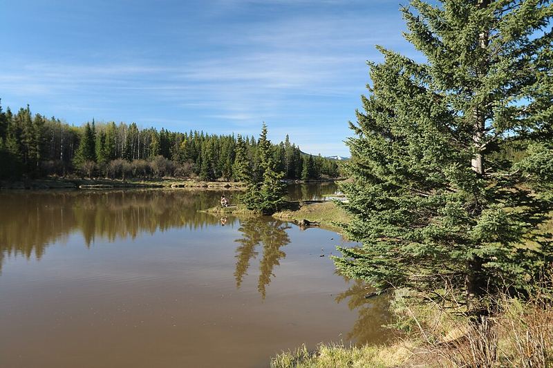 Calm water of McLean Creek pond with spruce trees reflected