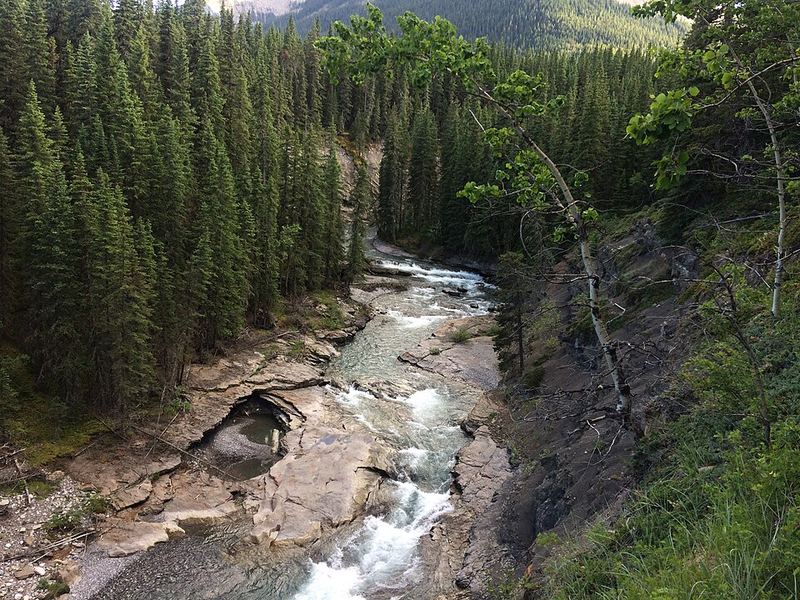 The Sheep River rushing through a rocky forested gorge