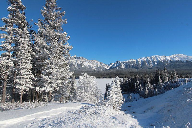 Snowy evergreens beside a frozen lake
