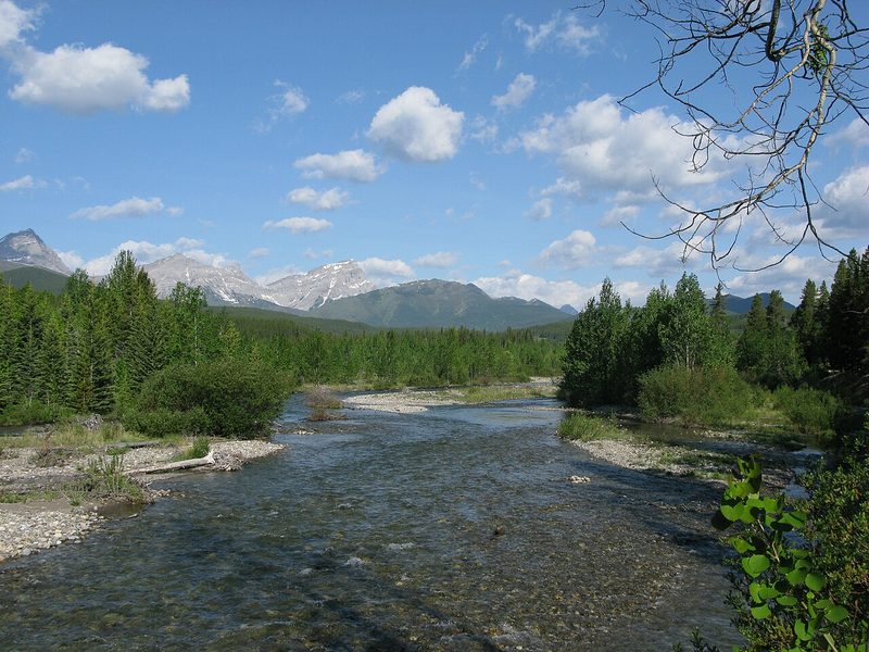 The clear Highwood River flowing past forest near Highwood Pass in Kananaskis Country