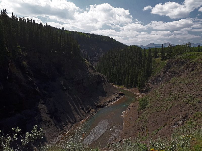 The forested Sheep River gorge in Kananaskis Country (upstream of Diamond Valley)