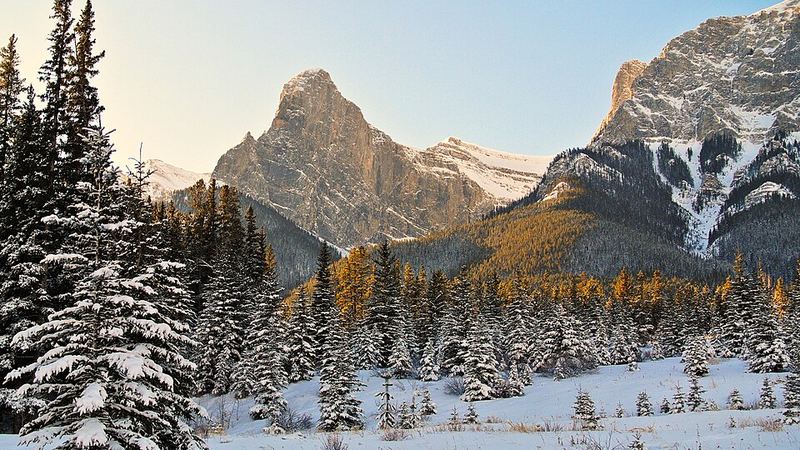 Snowy evergreens and mountains seen from the Canmore Nordic Centre