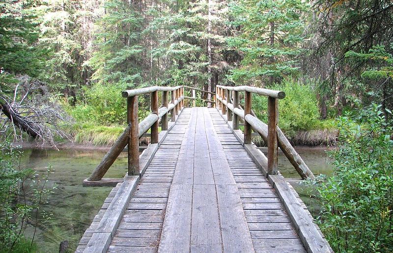 A wooden footbridge over a creek on the Fenland Trail in Banff